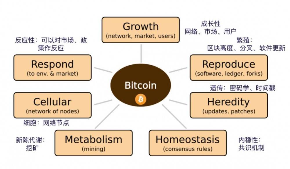 目前比特币用户节点有多少个的简单介绍