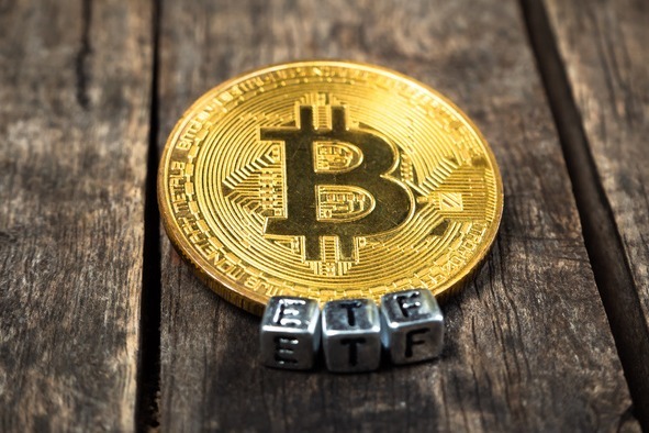 币行比特币提币(2023有望翻十倍的低价股)
