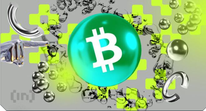 比特币现金(bch)应(比特币现金bch什么情况)