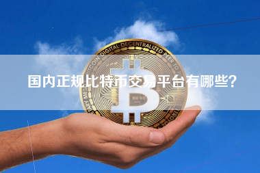 比特币从哪个平台交易所(比特币在什么平台上可以交易)