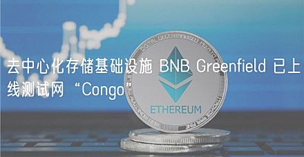 比特币去中心化域名在谁手里(比特币去中心化是依靠什么来实现的)
