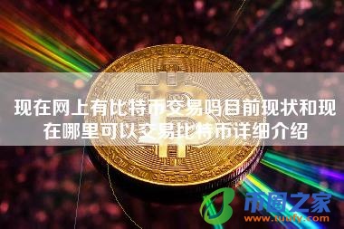 哪儿可以买比特币(哪儿可以买比特币啊)