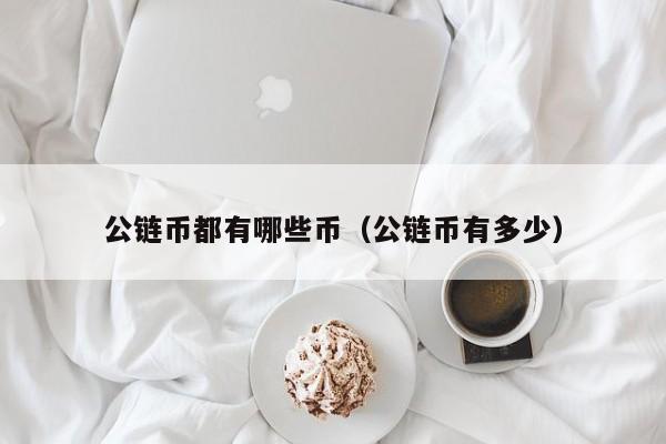 如何读取比特币公有链(比特币使用的区块链属于公有链吗)